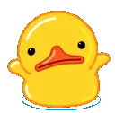 idk