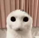 deebyeeby