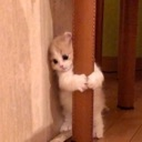 emoji_16 custom emote - Azeez Community