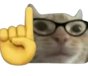 nerdcat