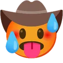 81253hotcowboy