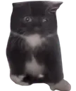 coalballbaby