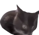 thecoal