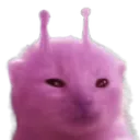 mlorp