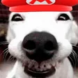 xdd