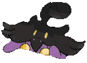 b_irrbissh_bongo