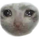 imhurt