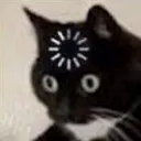 Loading Cat Discord Emoji