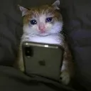 Sad Cat sad_cat Discord Emoji