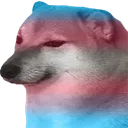CheemsTrans