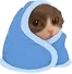 5_schleumerfrio 5_schleumerfrio