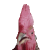 77997chickenyap Discord Emoji