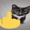 fucku