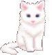 whitekitty Discord emoji