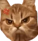 naegri