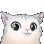uwucat uwucat