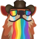 chapaarainbow
