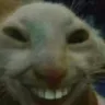 hehehehehehe
