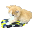 car Discord emoji