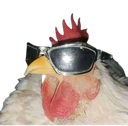 cock Discord Emoji - Russian language and culture learning