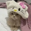 emoji_13