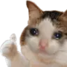 sadcatthumbsup