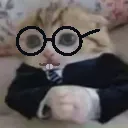 nerdeg