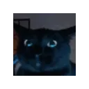 KITTTUH