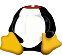 headless_linux