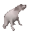 DOGGY