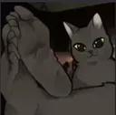feet