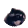 Pedro