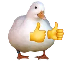 ADuckThumbsUp
