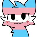 transboykisser