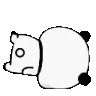 run_error