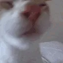 Tasty