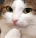 cat_hmm