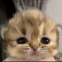 ermwhattheflip ermwhattheflip