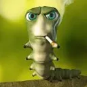 coldbug