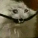 MeWhenBwead