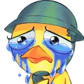Sad120