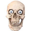 skull