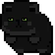 c_spincat