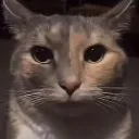 thousandyardstare