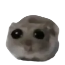 Sadhamster SadHamster Discord Emoji