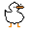 duck