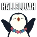 d_hallelujah