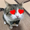 estroheart