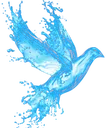 e_waterdove