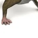sassymouse8